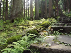 Japan's Sacred Mountains