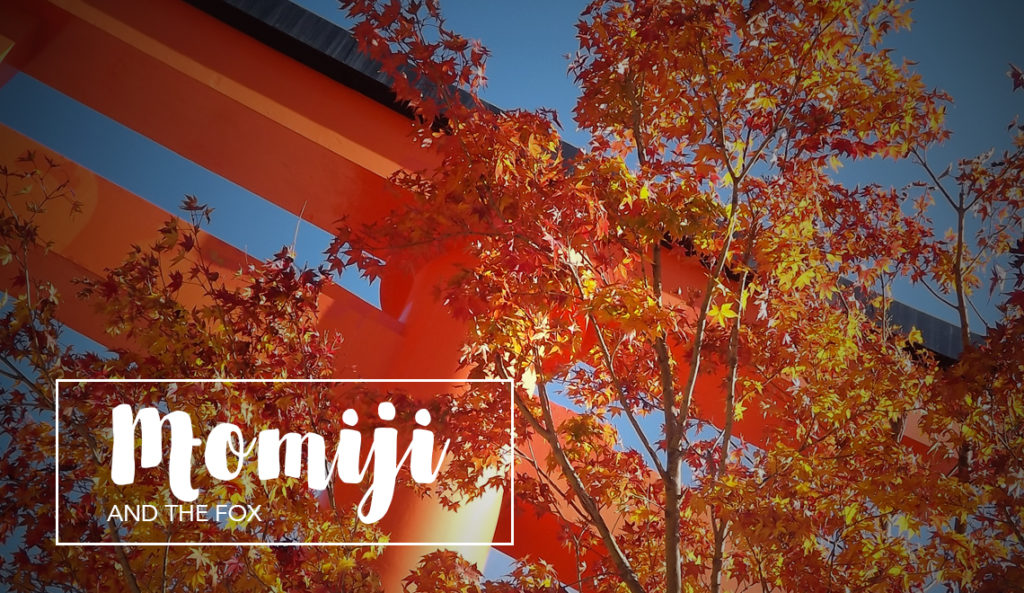 Autumn travel: Momiji and red torii at Fushimi Inari, Kyoto Japan