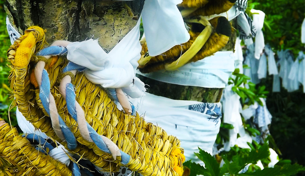 Discover Japan and Japanese culture on Youtube