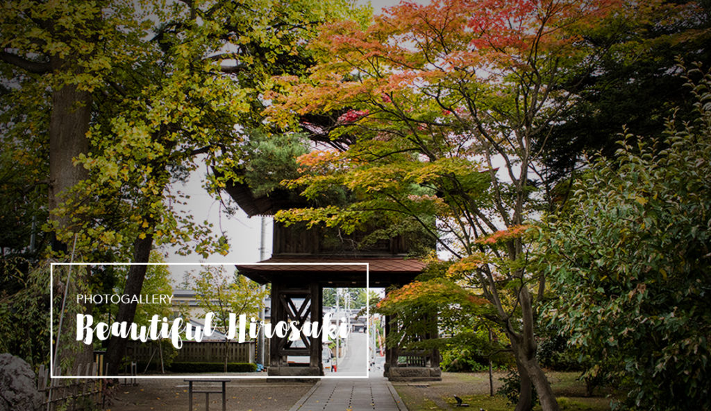 rural Japan Travel tips: visit Hirosaki in Aomori prefecture